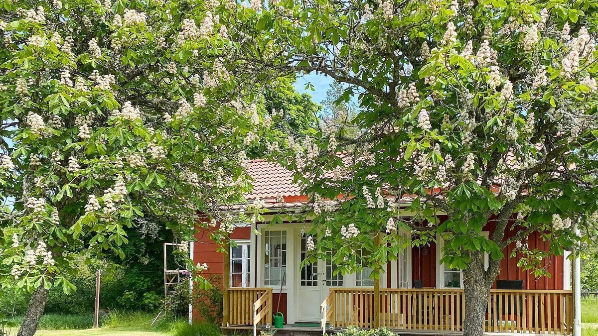 Rockneby House | 4 person holiday home in NISSAFORS-By Traum