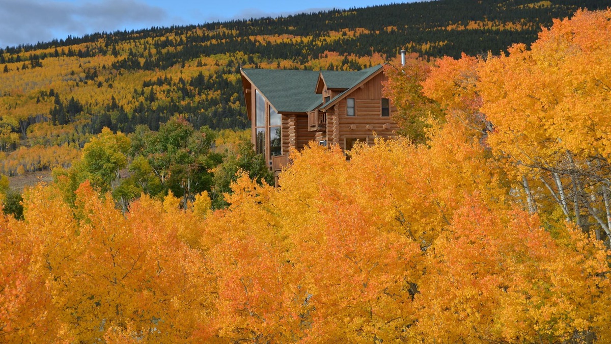 Warm Springs Cabin | 4 Primary Suites!,Private fishing, Ski at Breck or Monarch, Sauna