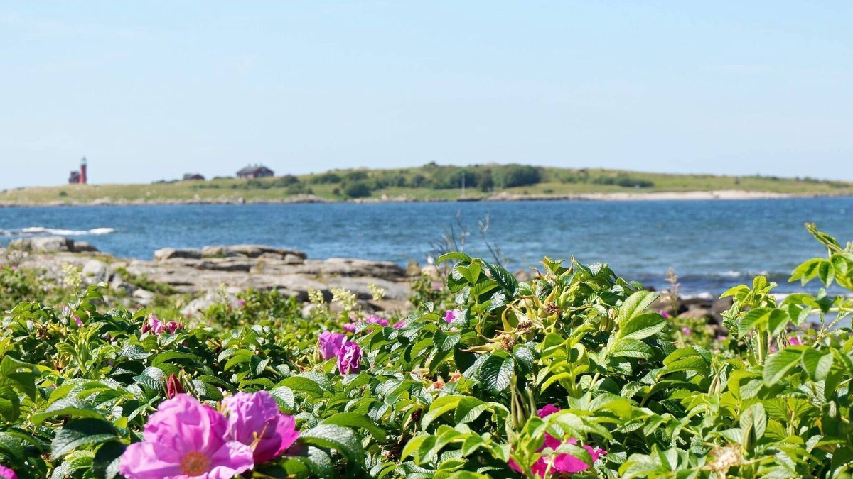 Halmstad House | 4 star holiday home in Halmstad