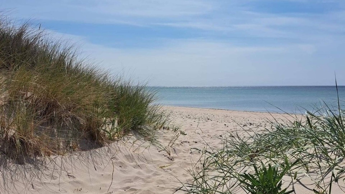 Tofta House | 4 star holiday home in GOTLANDS TOFTA