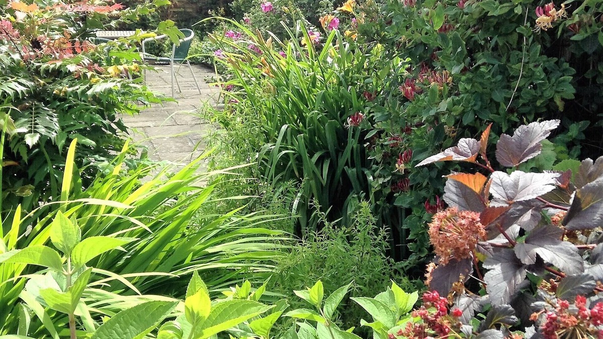 Maidstone Cottage | 4 star tourist board rated. Truly rural, on a farm. Pet friendly. Peaceful area.