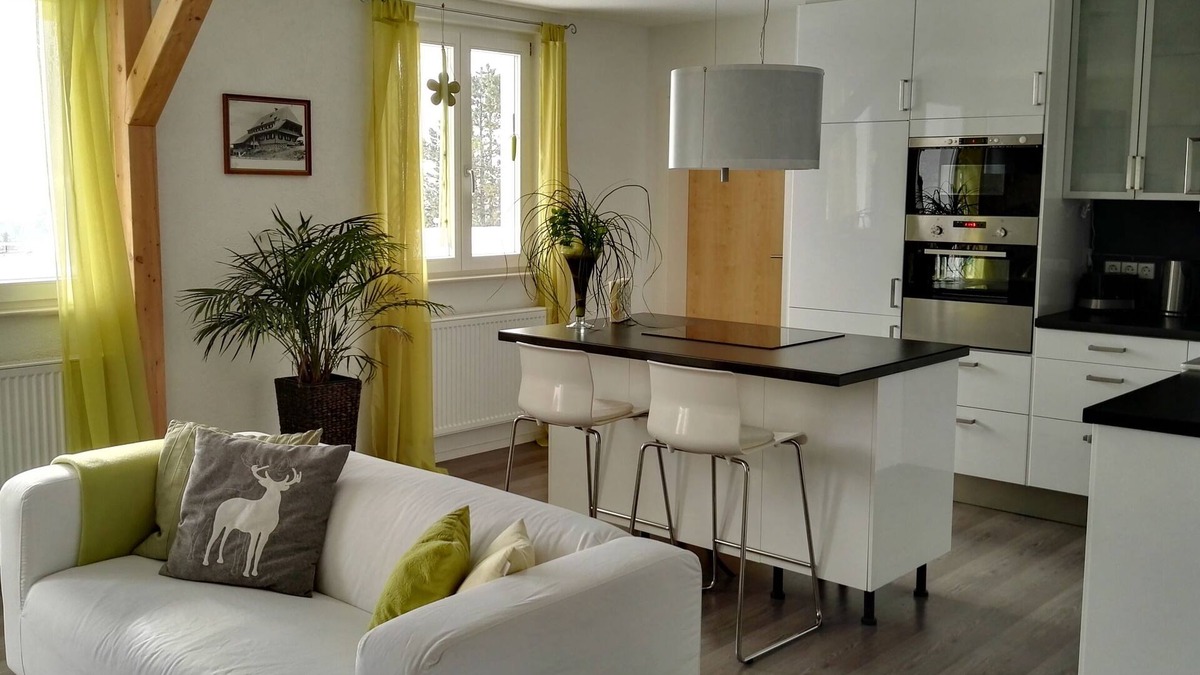 Uehlingen-Birkendorf Apartment | 4 stars, fantastic location with Alpine panorama, excl. Equipment, bright and quiet