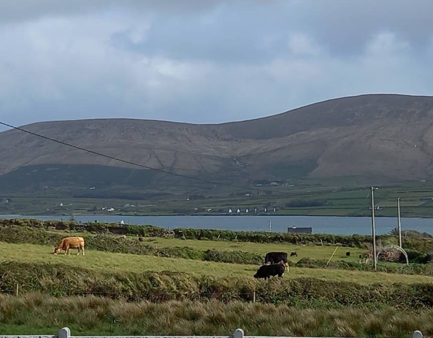 Valentia Island Apartment | 40 m² Apartment ∙ 1 bedroom ∙ 2 guests