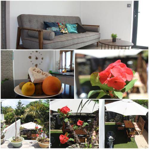 Moka Apartment | 40 m² Apartment ∙ 1 bedroom ∙ 2 guests