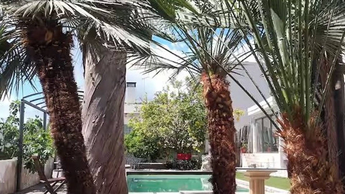 Calamayor Apartment | 44405 - Estudio Torre Blanca - 44405 Estudio Torre Blanca