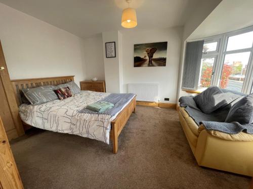 Wrexham House | 45 Mold Road