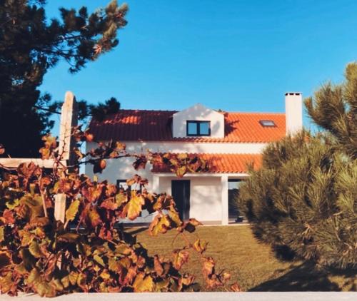 Assafora Bed & Breakfast | 45 Pines West