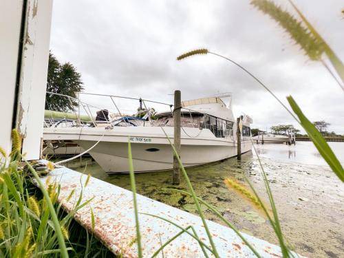 Anchor Bay Harbor Boat Rental | 46 m² Houseboat ∙ 2 bedrooms ∙ 8 guests