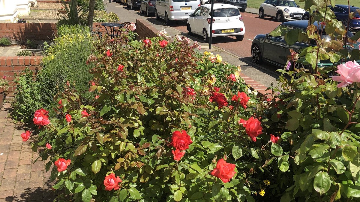 Tynemouth Apartment | 46B is a beautiful large Apartment with Sea views in the heart of Tynemouth