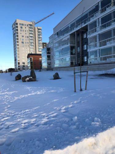 Oulu Apartment | 48 m² Apartment ∙ 1 bedroom ∙ 4 guests