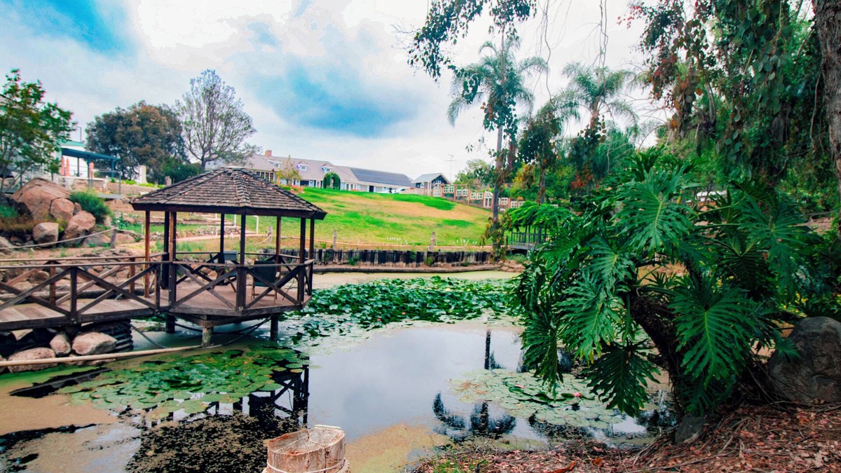 Bonsall House | 5-Acre Enchanted Estate: Pool, Animals, & Views
