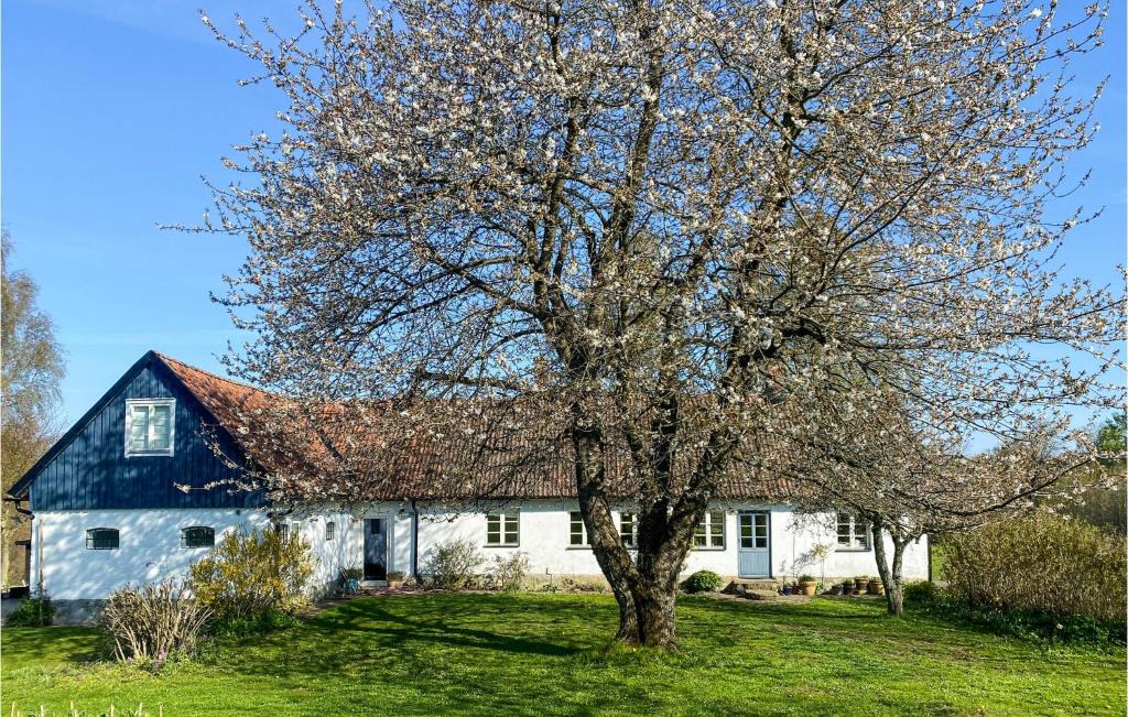 Listarum House | 5 Bedroom Awesome Home In Simrishamn