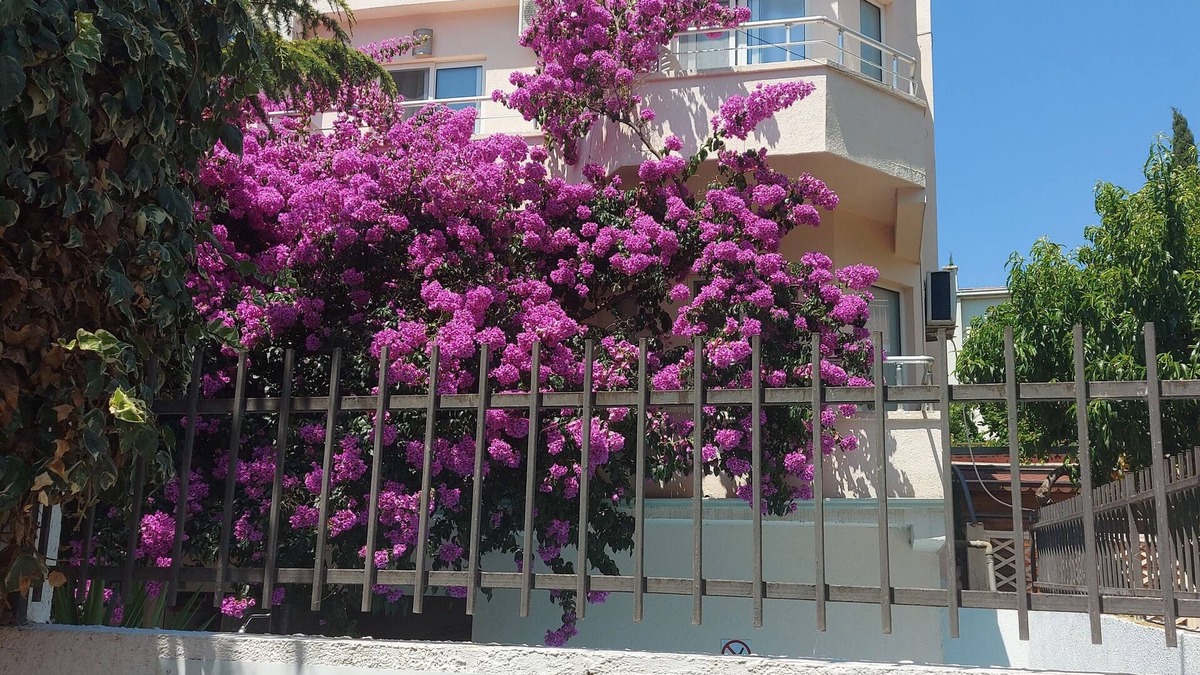 Utjeha Villa | 5-bedroom villa in fabulous Utjeha with AC, WiFi