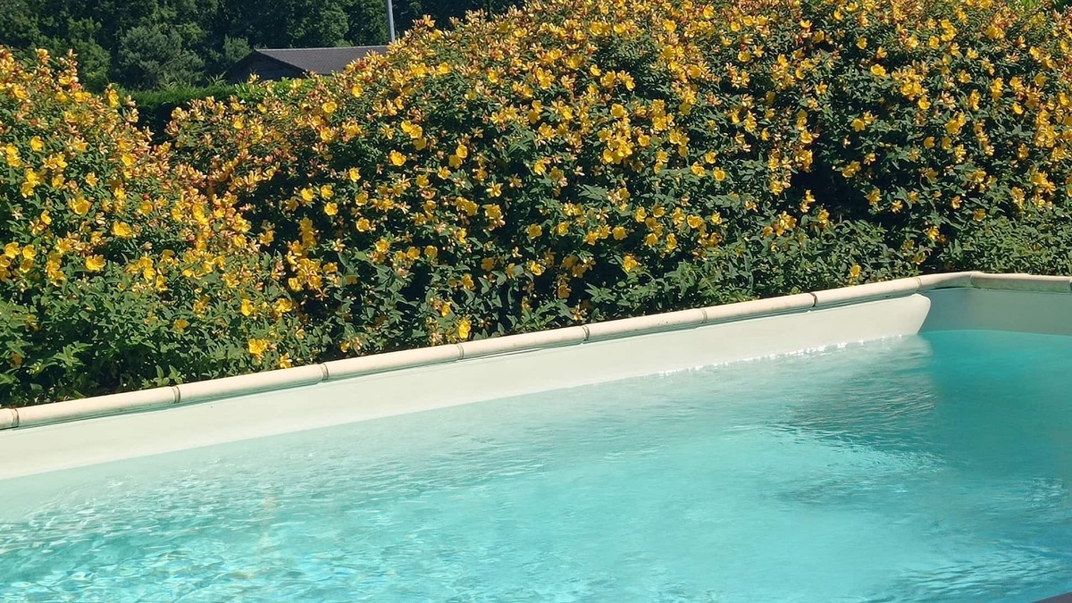 Prats-de-Carlux House | 5 min from Sarlat Gîte l'olivier with jacuzzi, ideal for 2/4 people