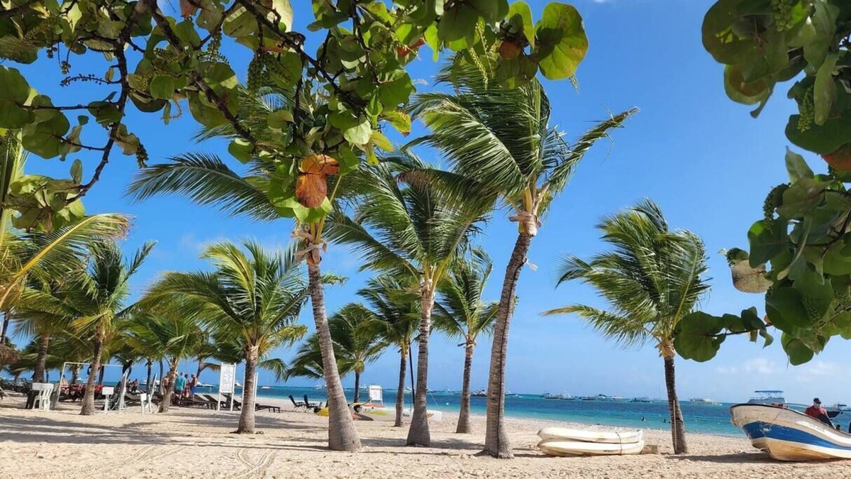 Playa Bibijagua Apartment | 5 minutes Beach apt with Parking, Pool and Jacuzzi.