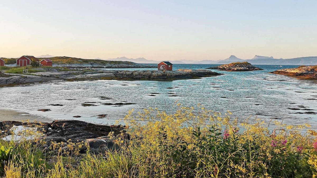 Trany House | 5 person holiday home in Tranøy-By Traum