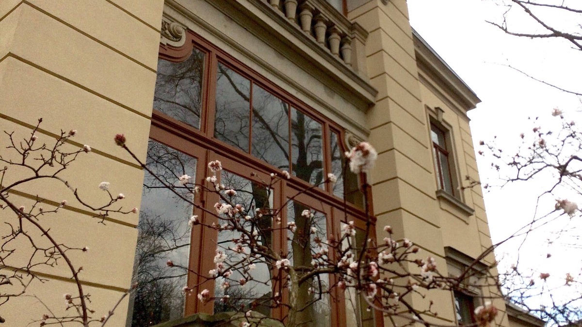 Blasewitz Apartment | 5-room duplex apartment in a historic villa in Dresden Blasewitz