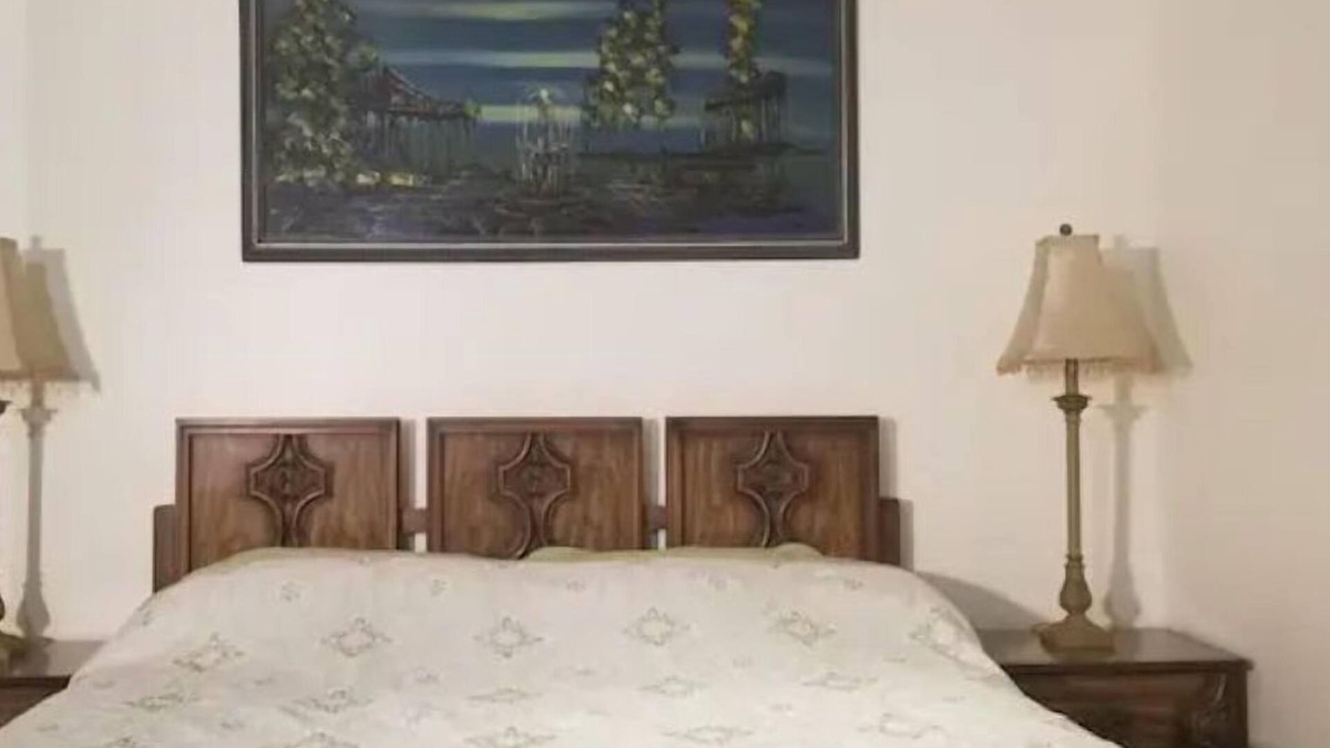 Erin Mills Apartment | 5 Star Basement Apartments #8
