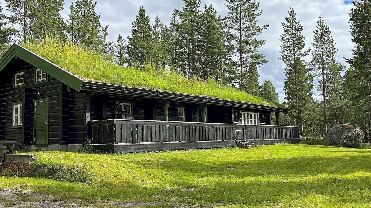 Gol Municipality House | 5 star holiday home in Hemsedal-By Traum