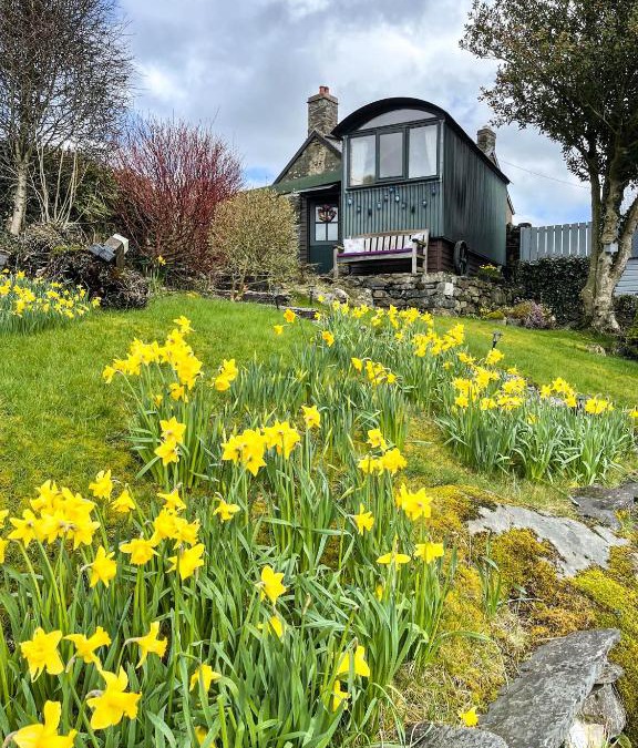 Snowdonia National Park Apartment | 5 Star Shepherds Hut in Betws y Coed with Mountain View