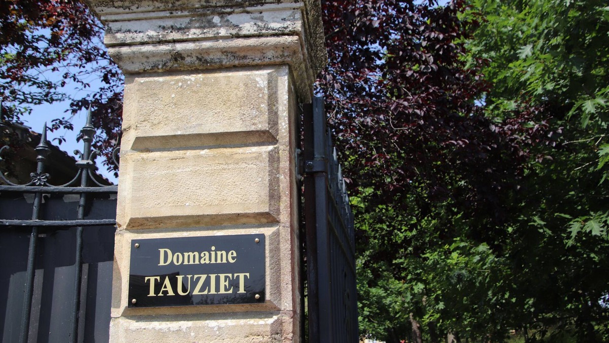 Montfort-en-Chalosse House | 5 stars in the heart of Chalosse