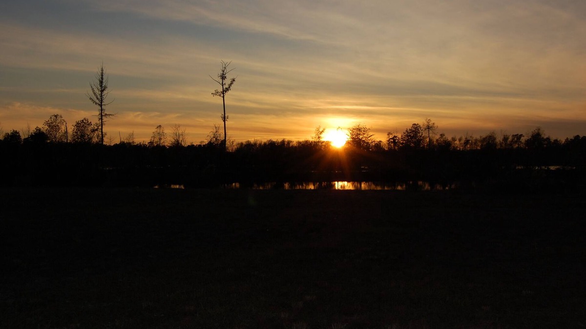 Longs House | 50 ACRE "PRIVATE" FRESH WATER FISHING LAKE