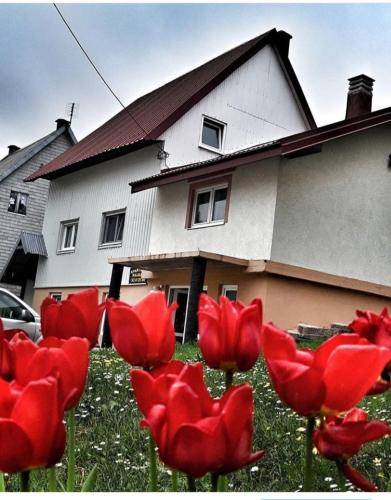 Zabljak Apartment | 50 m² Apartment ∙ 2 bedrooms ∙ 5 guests