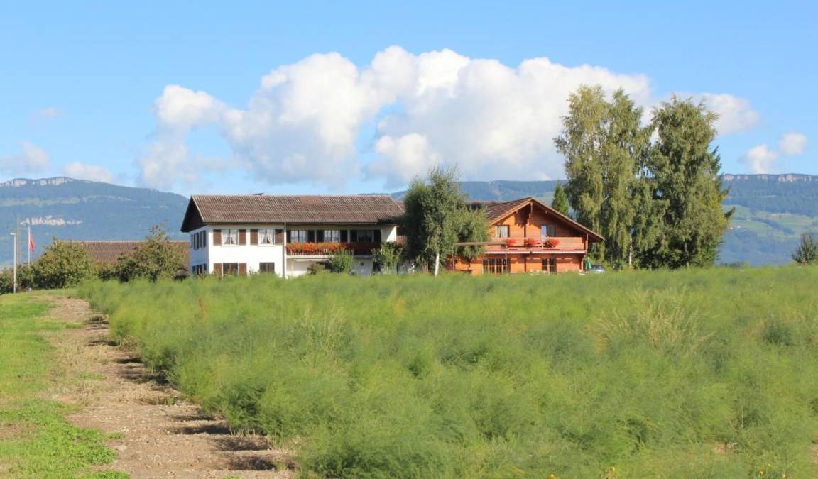 Subingen Apartment | 50 m² Apartment ∙ 2 bedrooms ∙ 4 guests