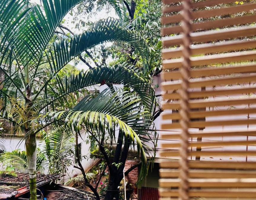 Arambol Apartment | 50 m² Apartment ∙ 1 bedroom ∙ 2 guests