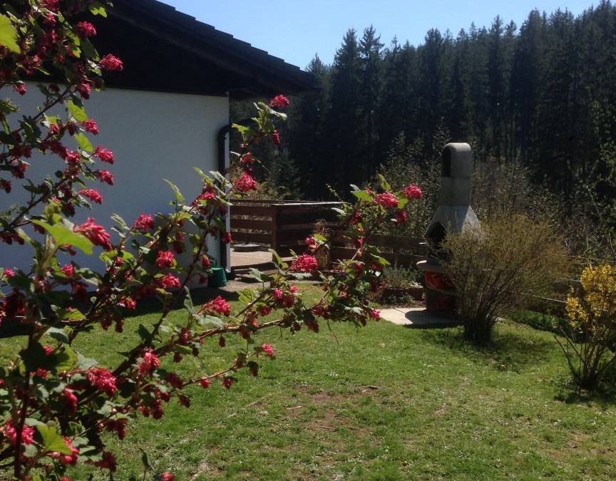 Lenzkirch House | 50 m² House ∙ 1 bedroom ∙ 2 guests
