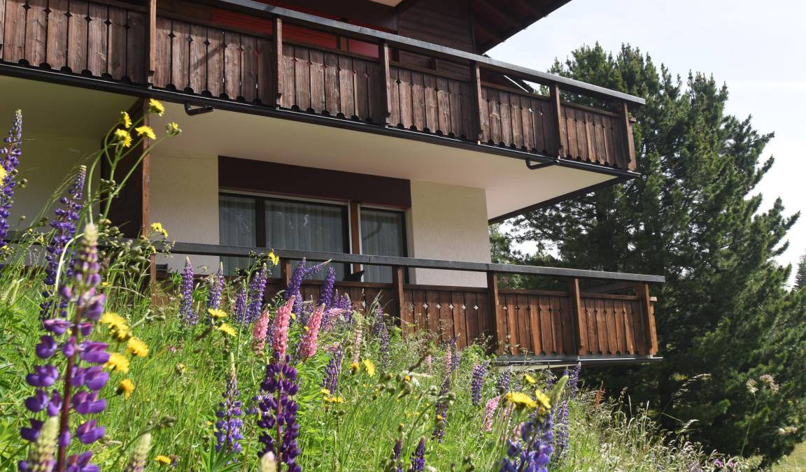 Arosa Apartment | 56 m² Apartment ∙ 1 bedroom ∙ 4 guests