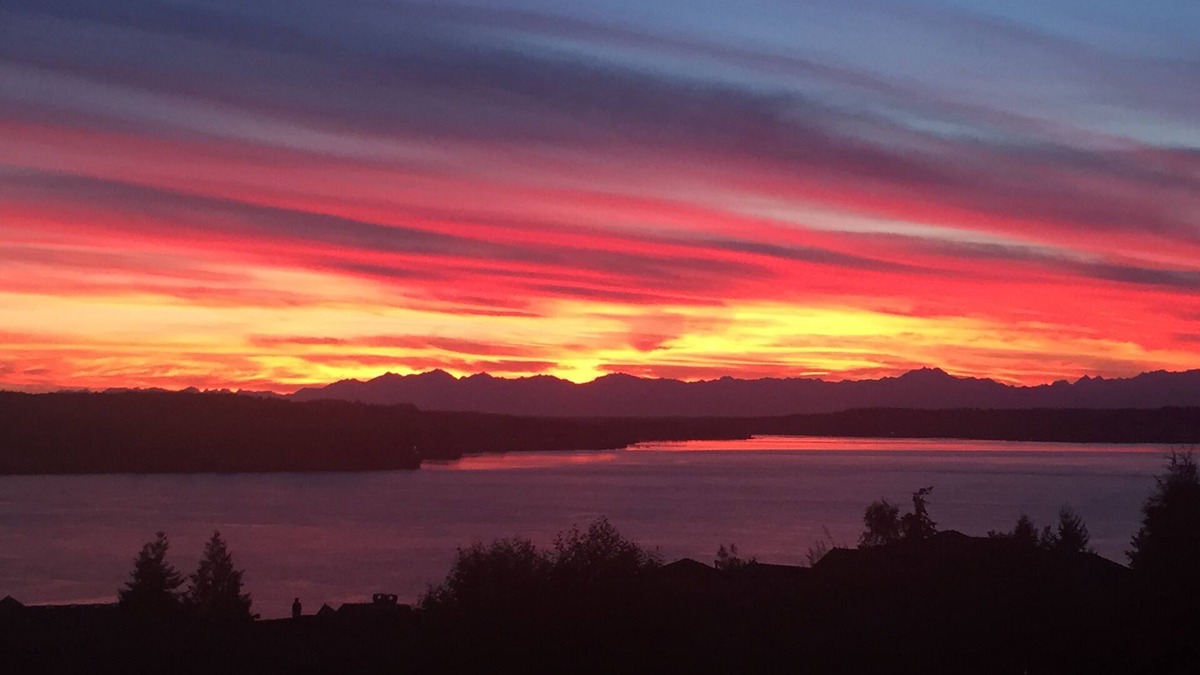 University Place House | 5br Sweeping View Of Puget Sound & Olympics; Under 1 Mile Chambers 2015 US Open