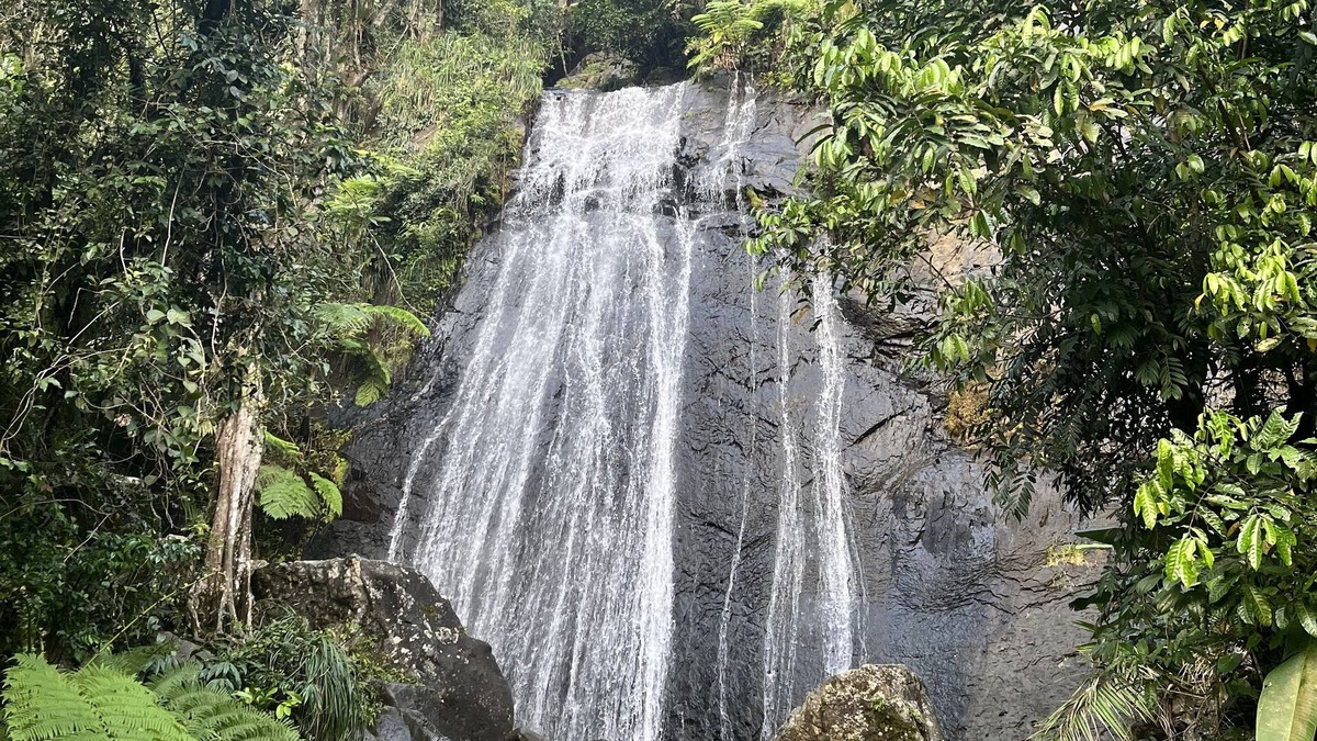 Zarzal Bed & Breakfast | 5mins from Beach & El Yunque Tropical Rainforest Tranquil room w/private entry!