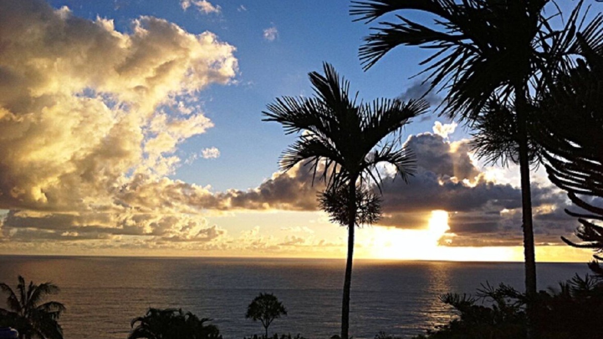 Ninole House | 6.5 acres Oceanfront Estate with180-degree views of the deep blue Pacific Ocean!