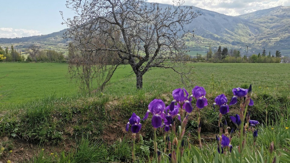 La Roche-des-Arnauds House | 6-person house with garden and balcony terrace