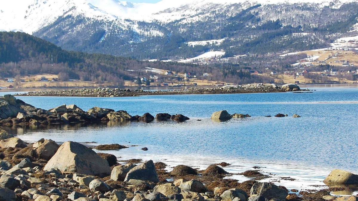 Fiksdal House | 6 person holiday home in tomrefjord