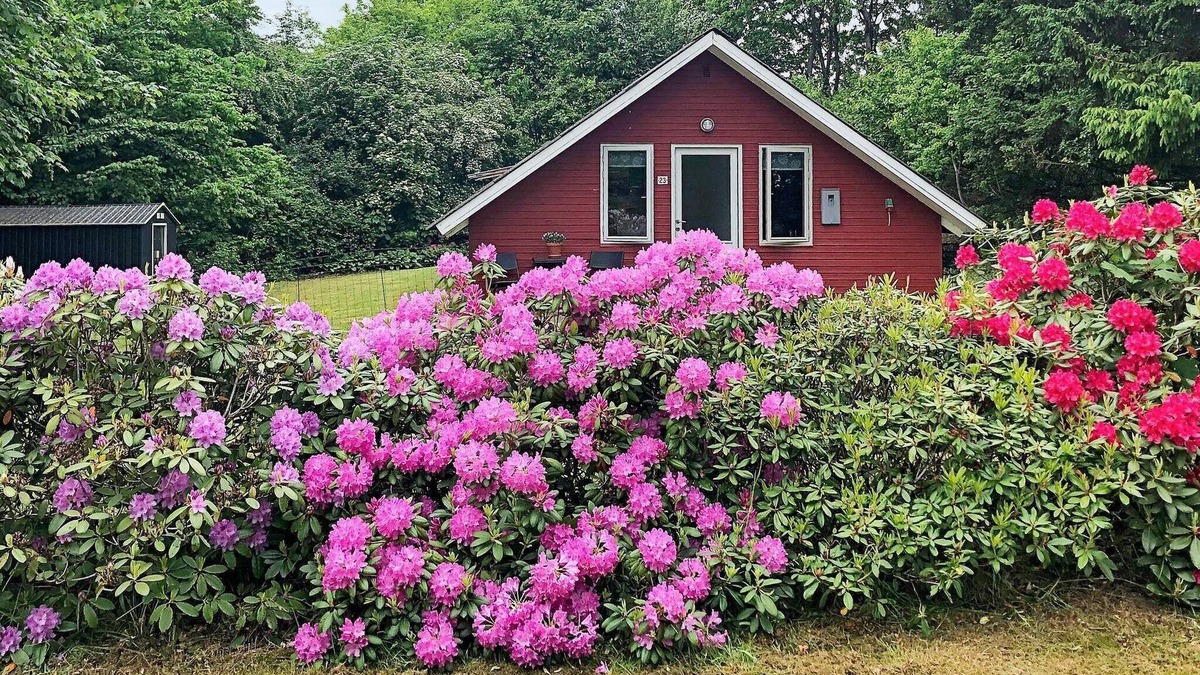 Arrild Ferieby House | 6 person holiday home in Toftlund
