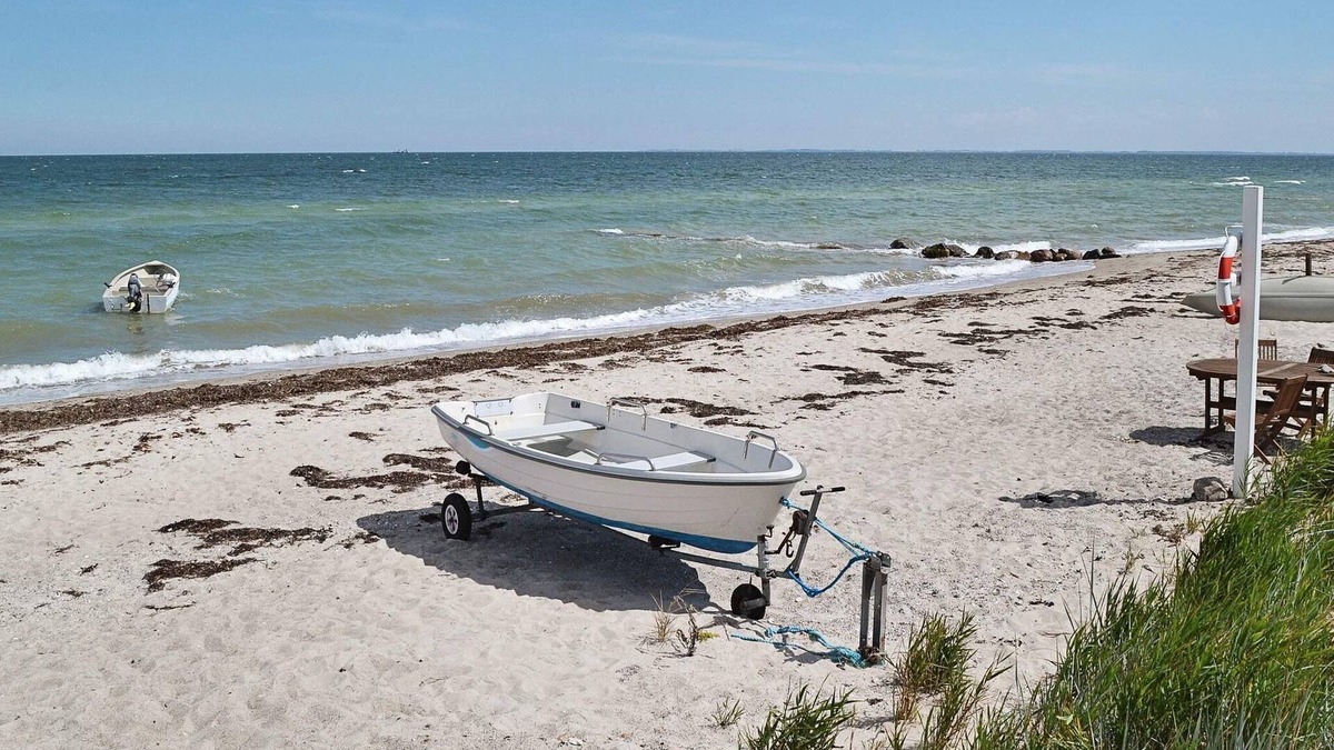 Tørresø House | 6 person holiday home in Otterup