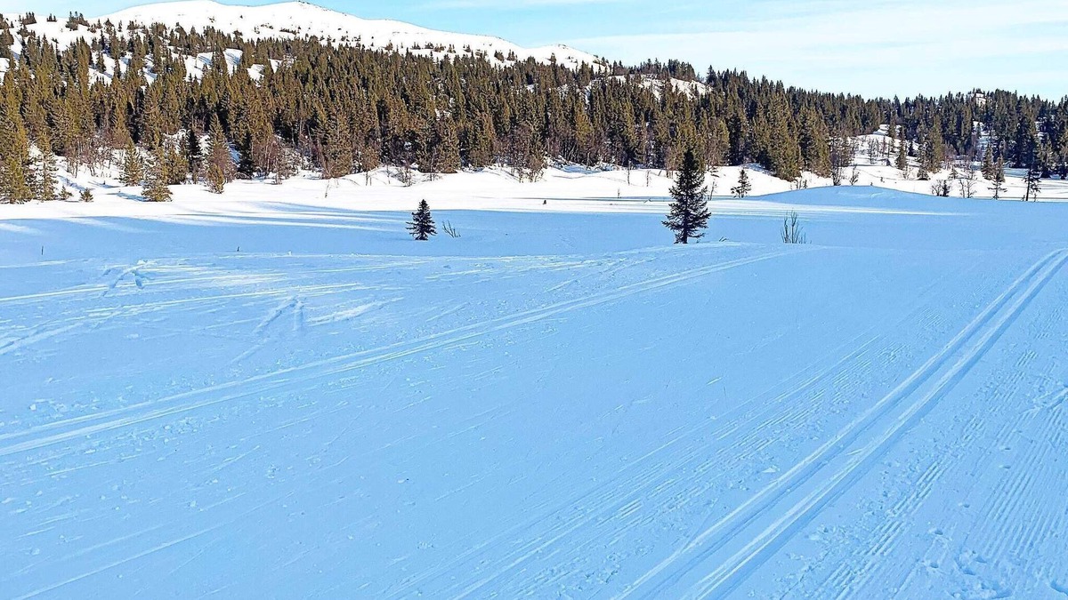 Nord-Aurdal House | 6 person holiday home in Aurdal