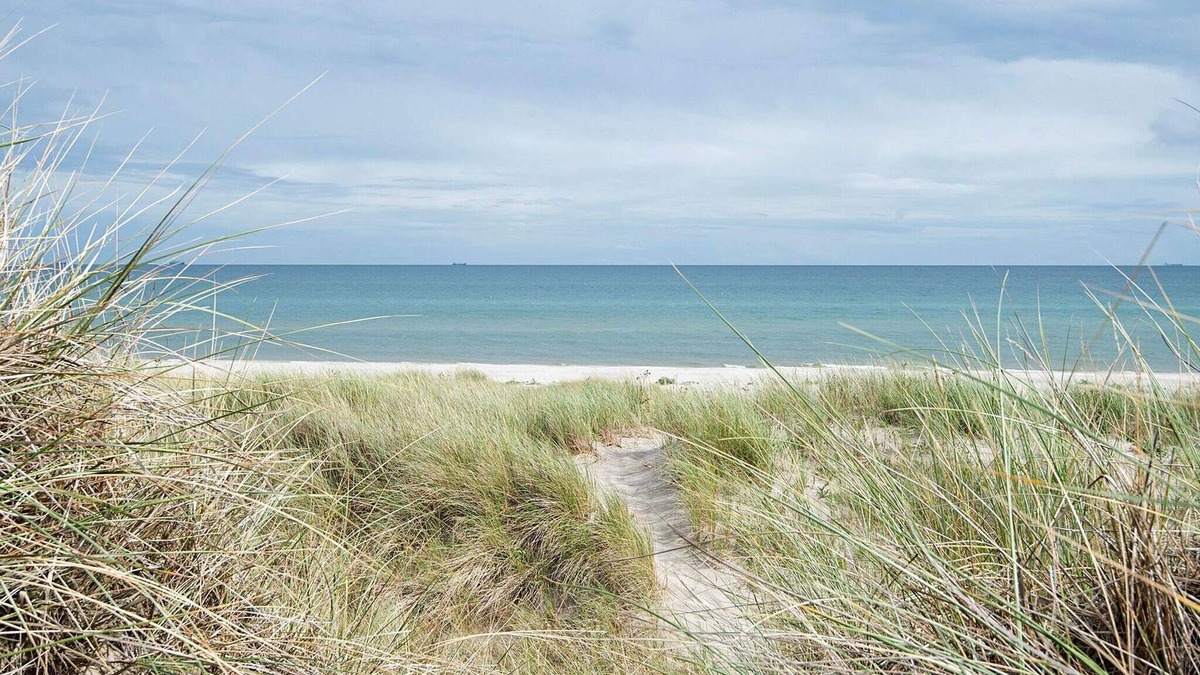 Aalbaek House | 6 person holiday home in Ålbæk