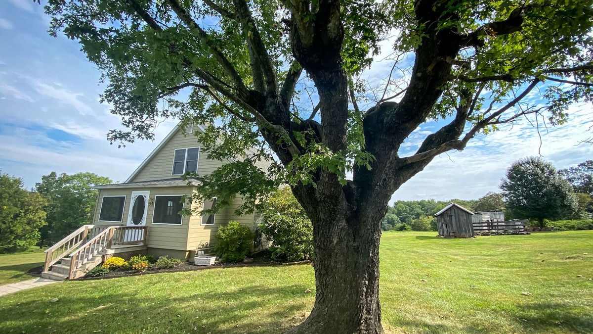 Stanardsville Cottage | 60 acre farm with mountain views & trails. 15 min from Shenandoah National Park