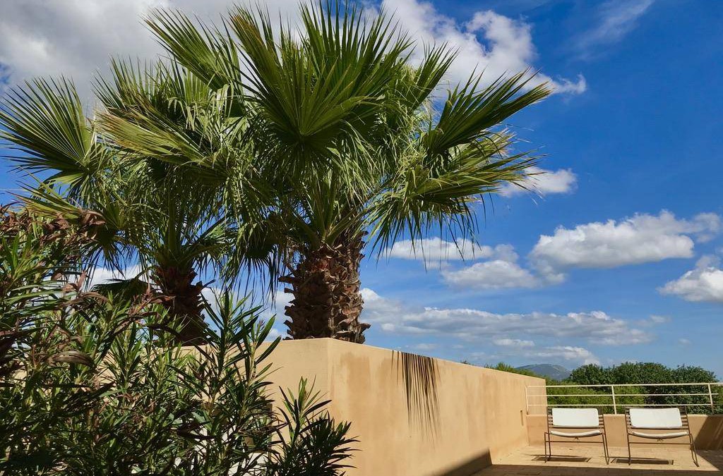 Menfi Apartment | 60 m² Apartment ∙ 2 bedrooms ∙ 4 guests