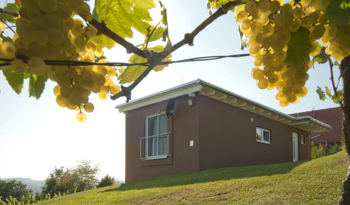 Johnsdorf-Brunn House | 60 m² House ∙ 1 bedroom ∙ 5 guests