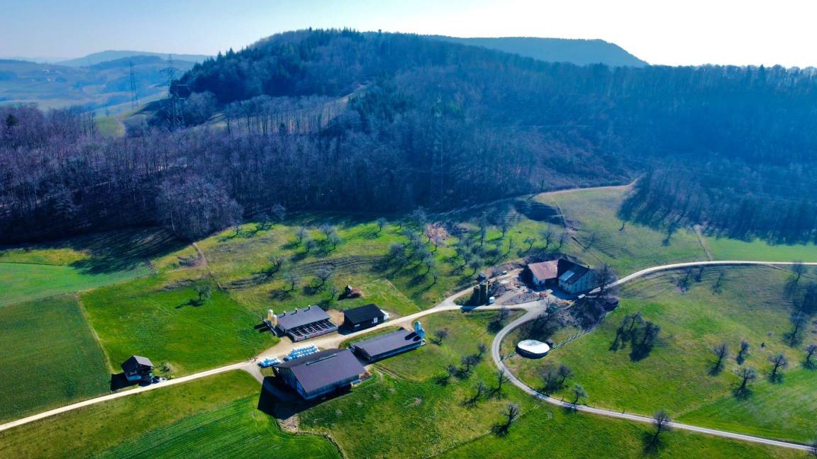 Wintersingen House | 60 m² House ∙ 2 bedrooms ∙ 4 guests