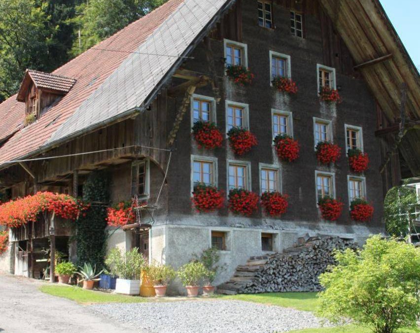 Willisau Land Apartment | 65 m² Apartment ∙ 2 bedrooms ∙ 6 guests