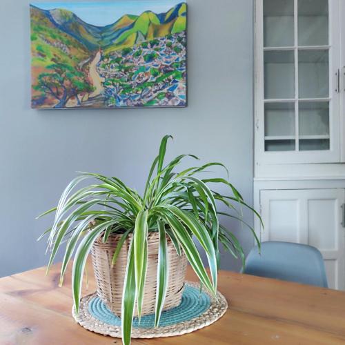 Adelaide Apartment | 7 on Market Square