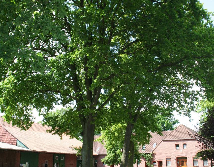 Region Hannover District Apartment | 70 m² Apartment ∙ 2 bedrooms ∙ 4 guests