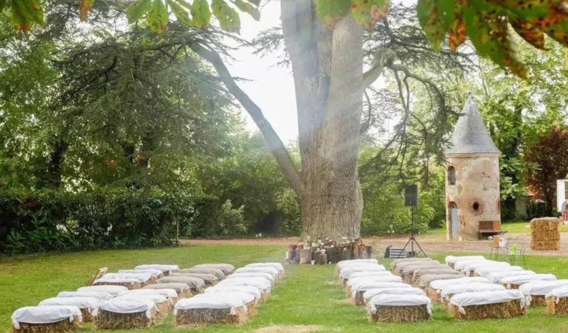 Messas Other | 750 m² Castle ∙ 8 bedrooms ∙ 15 guests