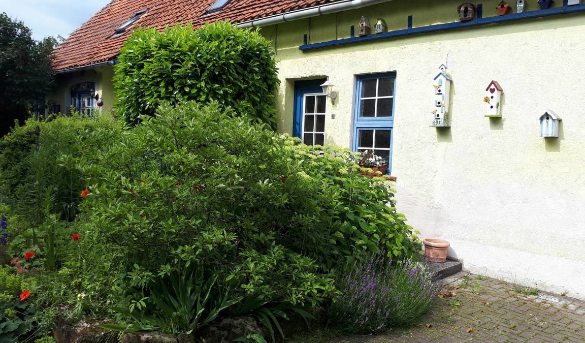 Langelsheim Apartment | 77 m² Apartment ∙ 1 bedroom ∙ 2 guests