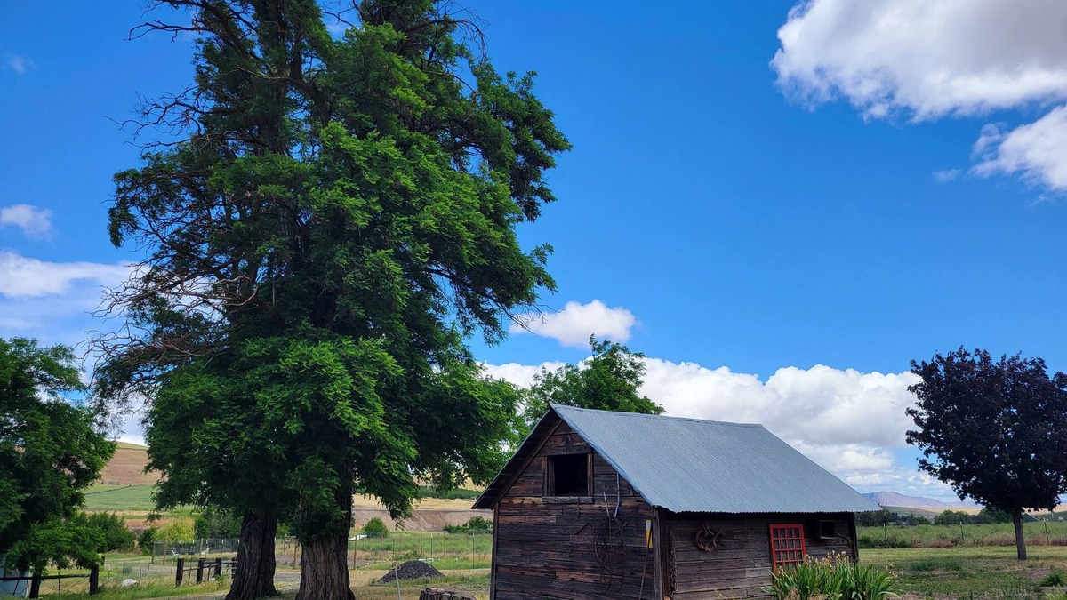 South Cascades Area Bed & Breakfast | 8 Mile Farm B&B